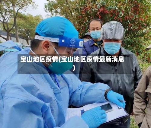 宝山地区疫情(宝山地区疫情最新消息)