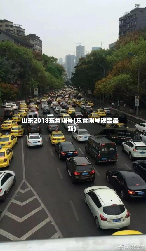 山东2018东营限号(东营限号规定最新)-第3张图片