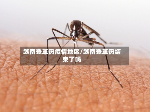 越南登革热疫情地区/越南登革热结束了吗