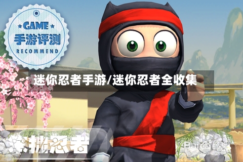 迷你忍者手游/迷你忍者全收集-第3张图片