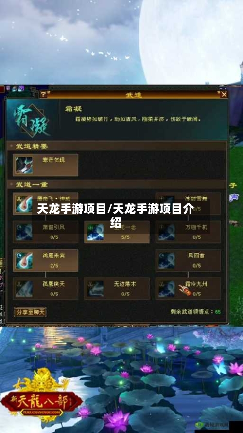 天龙手游项目/天龙手游项目介绍