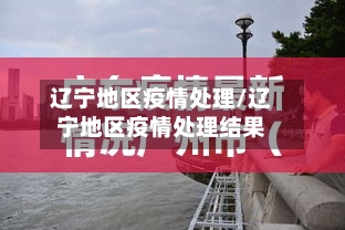 辽宁地区疫情处理/辽宁地区疫情处理结果-第2张图片