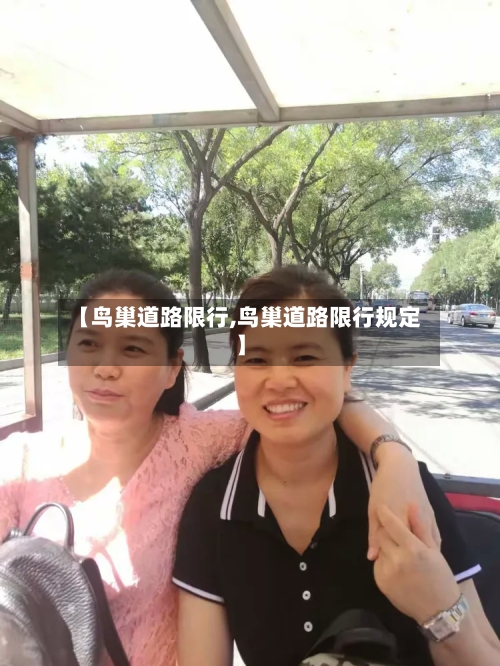 【鸟巢道路限行,鸟巢道路限行规定】