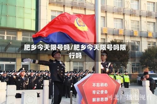 肥乡今天限号吗/肥乡今天限号吗限行吗-第3张图片