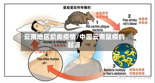 云南地区鼠类疫情/中国云南鼠疫的起源-第2张图片