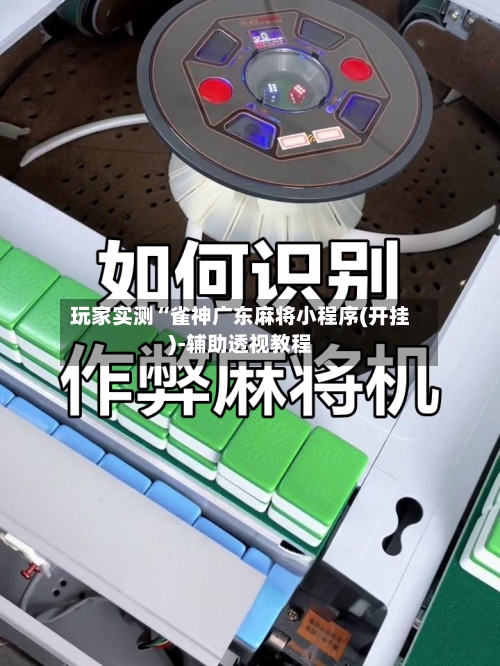 玩家实测“雀神广东麻将小程序(开挂)-辅助透视教程