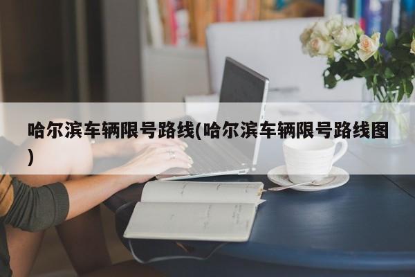 哈尔滨车辆限号路线(哈尔滨车辆限号路线图)
