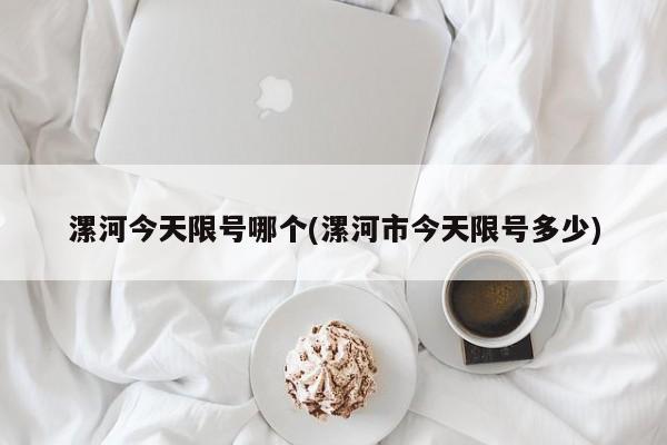 漯河今天限号哪个(漯河市今天限号多少)