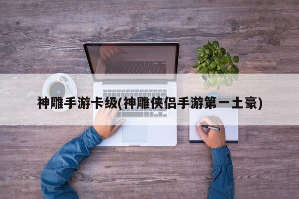 神雕手游卡级(神雕侠侣手游第一土豪)
