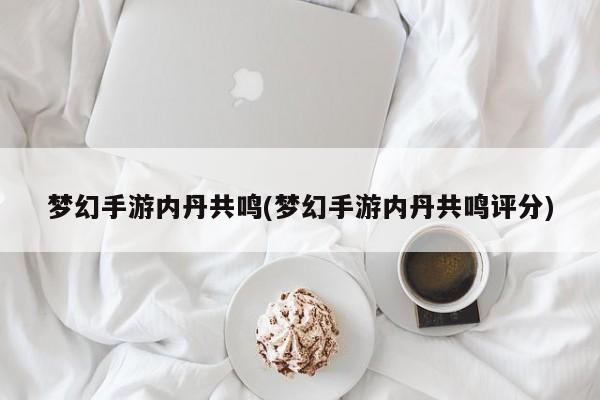 梦幻手游内丹共鸣(梦幻手游内丹共鸣评分)
