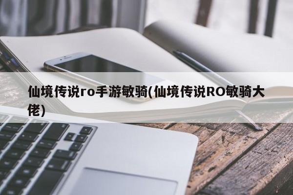 仙境传说ro手游敏骑(仙境传说RO敏骑大佬)