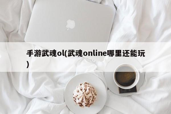 手游武魂ol(武魂online哪里还能玩)