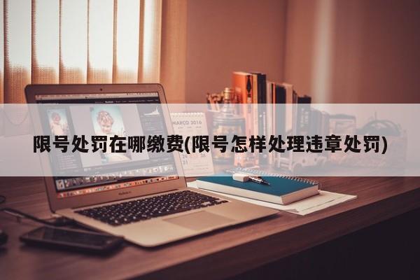 限号处罚在哪缴费(限号怎样处理违章处罚)