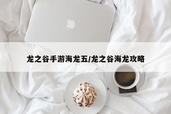 龙之谷手游海龙五/龙之谷海龙攻略