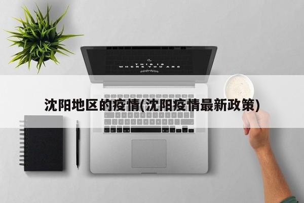 沈阳地区的疫情(沈阳疫情最新政策)