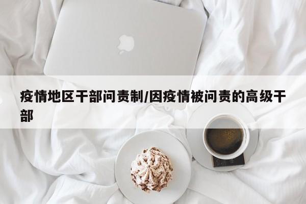 疫情地区干部问责制/因疫情被问责的高级干部