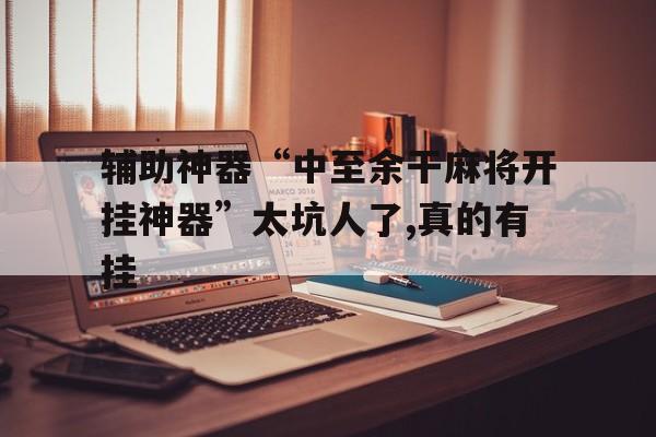 辅助神器“中至余干麻将开挂神器”太坑人了,真的有挂